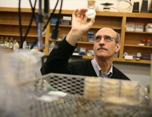 短信验证码轰炸