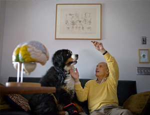 不限速下载的呼死你NI