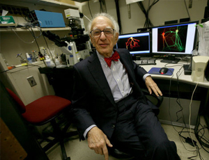 平台担保交易的在线手机号轰炸机